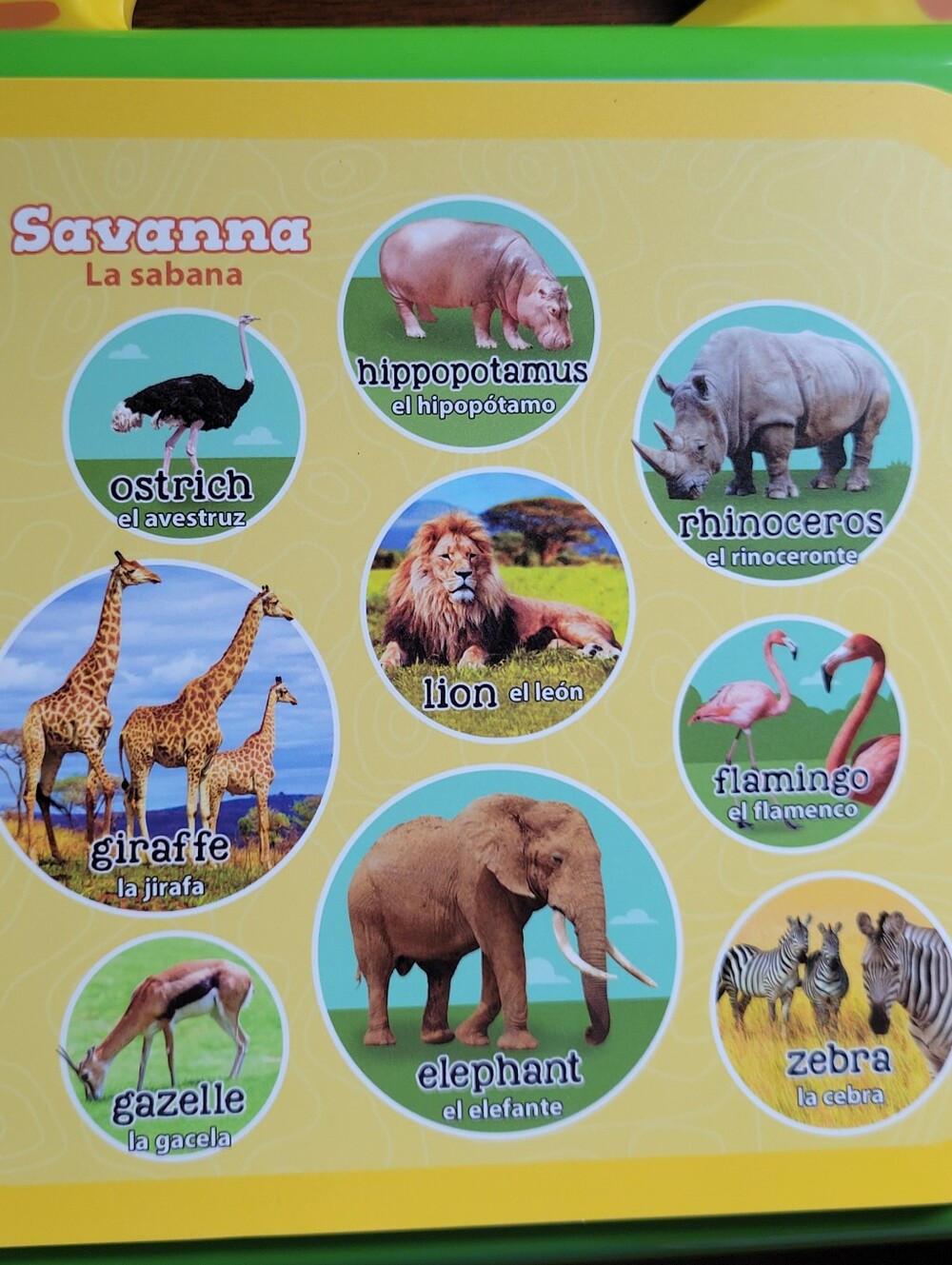 LeapFrog Words And Animals Learning Books (2) - Picture 12 of 15